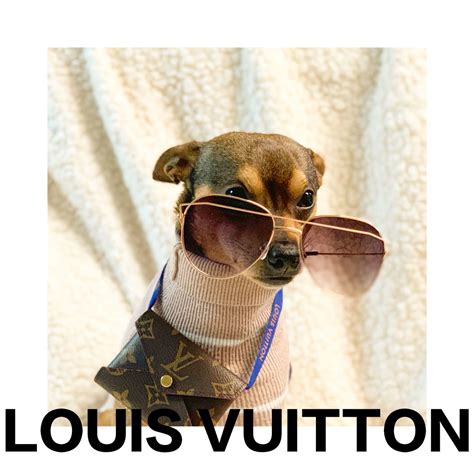 louis vuitton dog ad